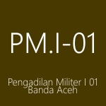 pm1-1